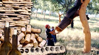 CORCHO natural y su transformación en TAPONES Extracción manual del tronco de los ALCORNOQUES [upl. by Esihcoc]