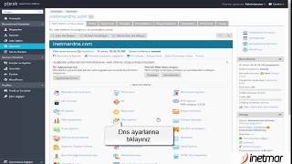 Plesk Panel Domain DNS Ayarları [upl. by Megargee]