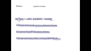 17 Préface  Baudelaire Les fleurs du mal [upl. by Ornie]