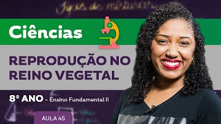 Reprodução no Reino Vegetal – Ciências – 8º ano – Ensino Fundamental [upl. by Brittaney]