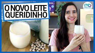 TEM GRÃO DE BICO FAÇA O LEITE VEGETAL DE GRÃO DE BICO QUE VIROU MANIA NO MUNDO TODO [upl. by Shieh162]