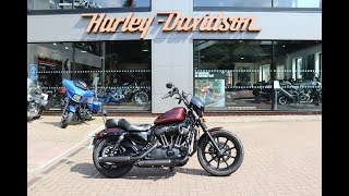 Used Sportster Iron 1200 at Guildford HarleyDavidson [upl. by Enomahs669]