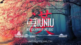 Asian trap beat 2022  quotQuiniuquot Chinese trap type beat  Asian music instrumental Uness Beatz [upl. by Herriott]