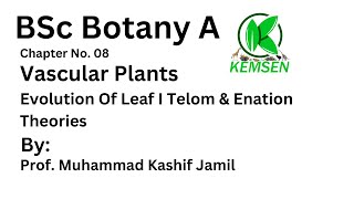 Evolution Of Leaf I Telom amp Enation Theories I Tracheophytes I Chapter 8 I BSc Botany A I KEMSEN [upl. by Sauls]