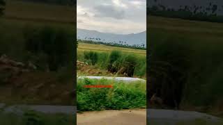 Nature 💫💫tamil song music love trending shortsviral shots village old shots shortvideos [upl. by Hazlett]