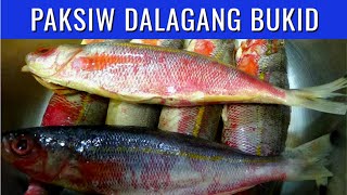 Paksiw Isda Dalagang Bukid  How To Cook Paksiw Na Isda Dalagang Bukid  PinoyAtHeartAdventures [upl. by Tullus119]