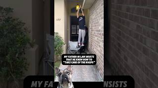 ⚠️When Stunads and wasps 🐝collide 🤣😱😳 reaction viral dogs funny [upl. by Faubert]