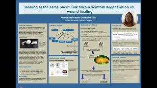 Healing at the same pace Silk fibroin scaffold degeneration vs wound healing [upl. by Aisiram]