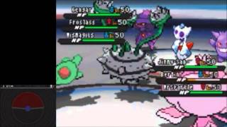 World Leaders  Triple Battles  Pokemon World Tournament  Pokemon Black 2 amp White 2 [upl. by Hanzelin]