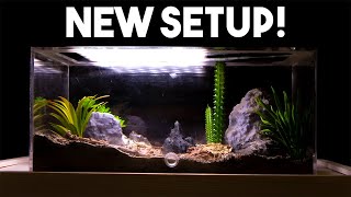 New Setup For My Stressors  Messor Barbarus Ant Colony  Update 2  Part 1 [upl. by Eberto301]