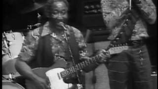 Muddy Waters  Shes Nineteen Years Old  ChicagoFest 1981 [upl. by Frame]