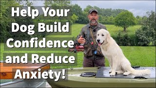 How To Build Confidence amp Reduce Anxiety In Fearful and Anxious Dogs [upl. by Merilyn]