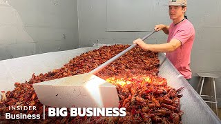 How A Louisiana Crawfish Company Harvests 60000 pounds A Day  Big Business  Insider Business [upl. by Cirle]