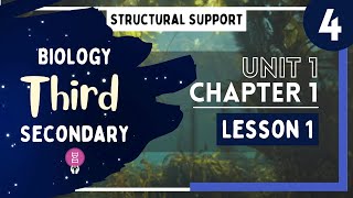 Biology 3rd Secondary Egypt  Chapter 1  Lesson 1  P4 Structural Support [upl. by Fredrick]