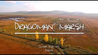 Dragoman marsh  Драгоманско блато [upl. by Airotciv287]