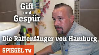 Die Rattenfänger von Hamburg Gift und Gespür  SPIEGEL TV [upl. by Nalla]