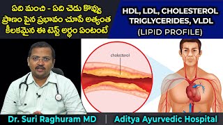 Cholesterol Lipid Profile టెస్ట్ ని ఎలా అర్ధం చేసుకోవాలి  చెడు కొవ్వు మంచి కొవ్వు ఏవి [upl. by Pollerd]