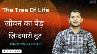 BHADERWAHI VIDEO MESSAGE 3  THE TREE OF LIFE  Pr Mukesh  WOH [upl. by Neirod]