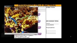 Diffrences and Similarities between Prokaryotic and Eukaryotic Cell [upl. by Boony535]