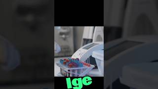 what is IGE immunoglobulin E IGE [upl. by Annohsed]