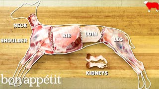 How to Butcher an Entire Lamb Every Cut of Meat Explained  Handcrafted  Bon Appetit [upl. by Nodyarb]