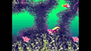 DKC3 45 Fish Food Frenzy Optimal [upl. by Buchbinder596]