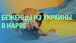 Как Эстония встречает украинских беженцев приезжающих с территории России [upl. by Eilyac]