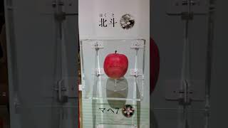 「弘前市りんご公園」には日本で品種改良されたリンゴ一覧が見れます！At the Hirosaki City Apple Park you can see a list of apples [upl. by Pilihp40]