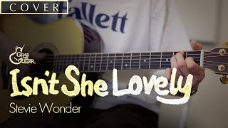 Isnt She Lovely  Stevie Wonder Fingerstyle Guitar CoverTAB [upl. by Aynahs253]