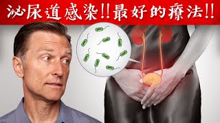 泌尿道感染UTI最佳自然療法柏格醫生 Dr Berg [upl. by Burkitt]