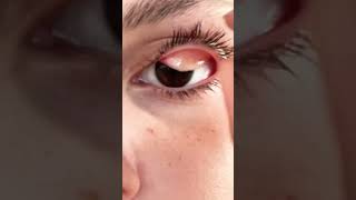 scary eyes eyelashes lashes trend [upl. by Danna]