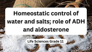 Homeostatic control of water and salts role of ADH and aldosterone [upl. by Jervis]