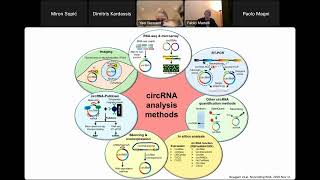 Webinar 9 CircularRNAs  How to study their regulation and functions [upl. by Devine]