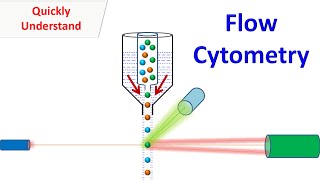 Flow Cytometry [upl. by Ahsiened]