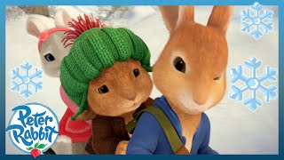 OfficialPeterRabbit  ❄️ Spectacular Sledge Adventures This Winter ❄️  Cartoons for Kids [upl. by Koren]