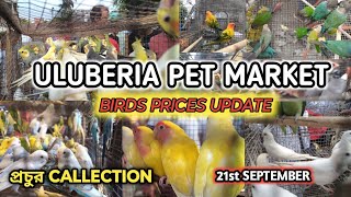 ULUBERIA PET MARKET BIRDS PRICES UPDATE ON 21st SEPTEMBER uluberiapetmarket cheapestprice [upl. by Nehemiah]