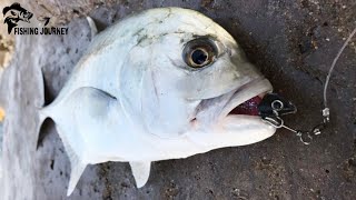 Giant Trevally Catch With Shimano Squidgies 4quot Jetty Fishing [upl. by Nemrac883]