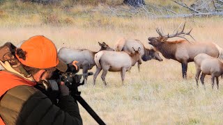 550yard Vapor Trail Our Hunting Partner had NO FEET and Made The PERFECT Shot [upl. by Acirederf]