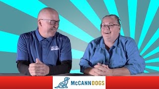 Meet The Founders Of McCann Professional Dog Trainers [upl. by Jeffie875]