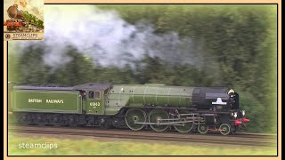 60163 Tornado Struggles to Deliver the Last Torbay Express 10Sep17 [upl. by Pease198]