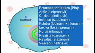 How ARVs Work Part 3 of 3 [upl. by Sletten]