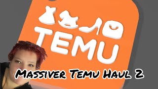 Massiver Temu Haul Teil 2 [upl. by Saito]