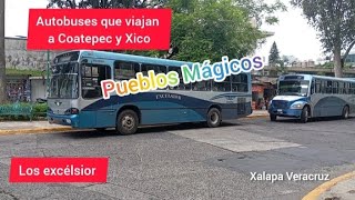 Terminal de Los Excélsior en Xalapa Veracruz 2024 Coatepec Xico pueblosmagicos [upl. by Kelcy]