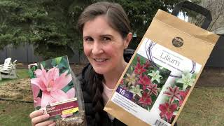 How to plant lily bulbs [upl. by Jankell]