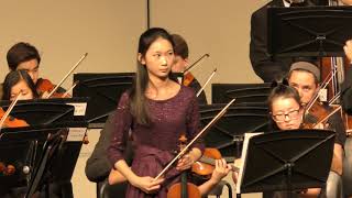 Accolay Violin Concerto No 1 in A Minor  Allegro Moderato [upl. by Llenil217]