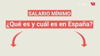 Salario Mínimo Interprofesional ¿Qué es y cuál es en España [upl. by Avron560]