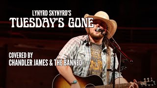 Lynyrd Skynyrds quotTuesdays Gonequot Cover Chandler James amp The Banned Koka Booth Amphitheatre [upl. by Artnoed15]