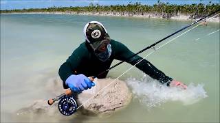 Fly Fishing for Jack Crevalle in Small Channels of Ascension Bay [upl. by Ahsinnod]