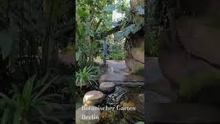 Botanischer Garten in Berlin [upl. by Ydnagrub]