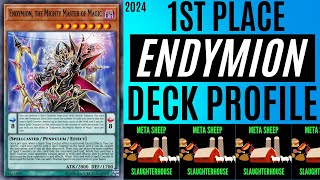 ENDYMION GOT FIRST PLACE AT A 25 PERSON TOURNAMENT  YuGiOh Deck Profile 2024 [upl. by Nesnaj]